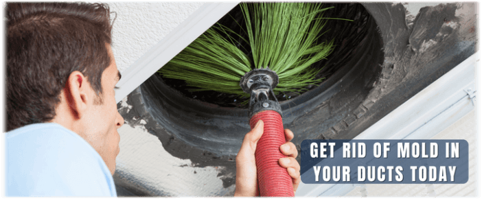 Air Duct Mold Removal in Wonder Lake IL