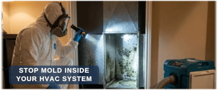 HVAC Mold Removal Wonder Lake IL
